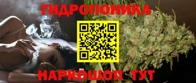 Альфа ПВП Ачхой-Мартан