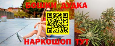 Альфа ПВП Ачхой-Мартан