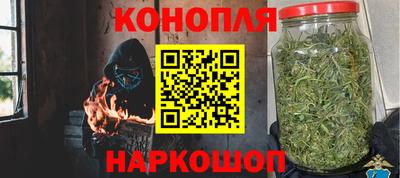 Альфа ПВП Ачхой-Мартан